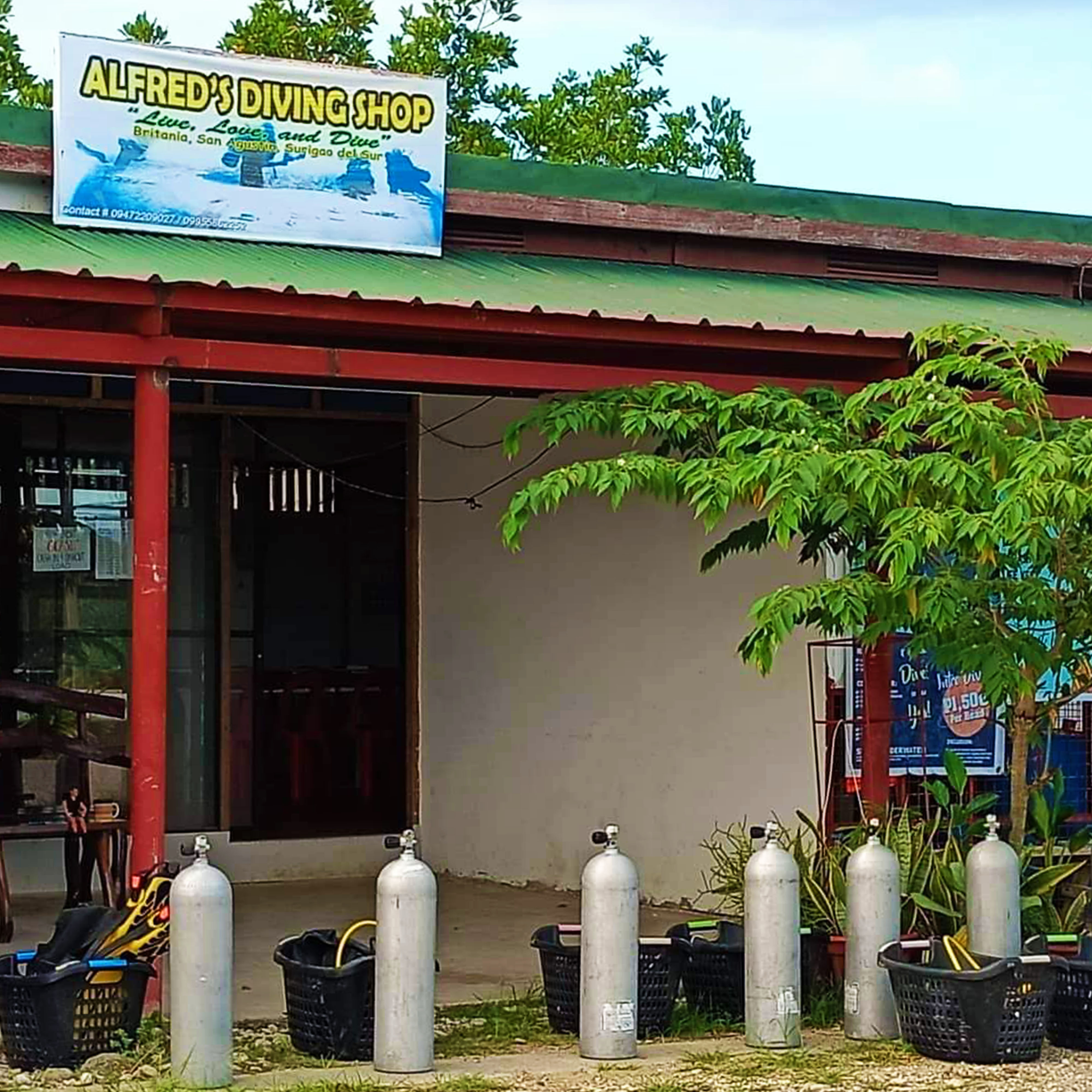 <b class="font-bara"><i class="bi bi-geo-fill h4"></i> ALFRED'S DIVING SHOP</b> <br/>Located at Brgy. Britania, San Agustin, Surigao del Sur.
Contact No: 09472209027